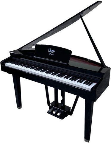 V-TONE GP-88 BK ID-CN-156637 фото