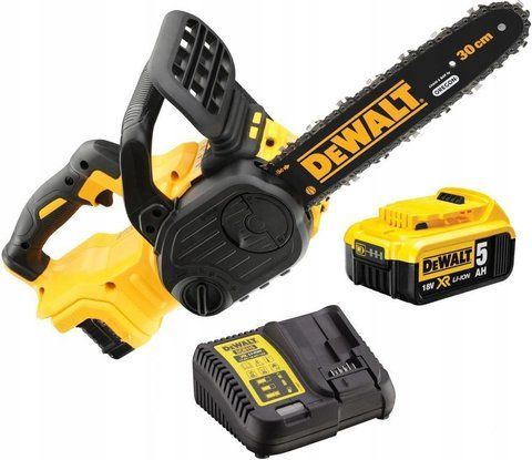 Dewalt Dcm565P1 eBox-CN-207633 фото