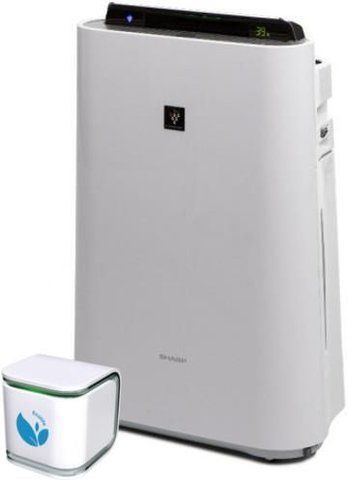 Sharp KC-D50EUW + EcoLife Air Sensor 2.0 eBox-CN-103738 фото